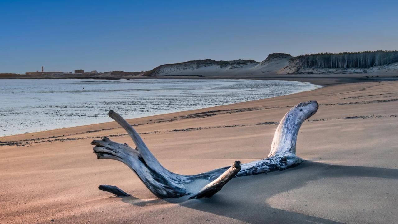 Studio "Les Pieds Dans L'Eau" - 50M Front De Mer Berck Exterior photo